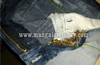 Kasargod : Trio booked for hiding ganja in jeans given to Qatar bound passenger
